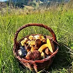 Apartmán Vista Rokytnice Rokytnice nad Jizerou