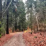Apartmán Vista Rokytnice Rokytnice nad Jizerou