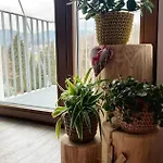 Vista Rokytnice