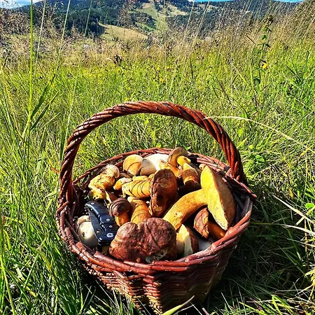 Διαμέρισμα Vista Rokytnice Rokytnice nad Jizerou