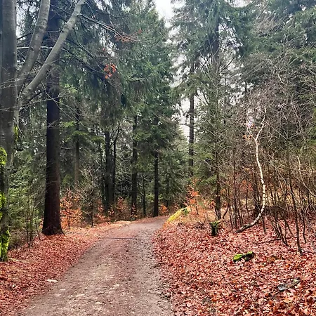 Διαμέρισμα Vista Rokytnice Rokytnice nad Jizerou
