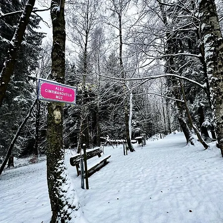 Vista Rokytnice Διαμέρισμα Rokytnice nad Jizerou