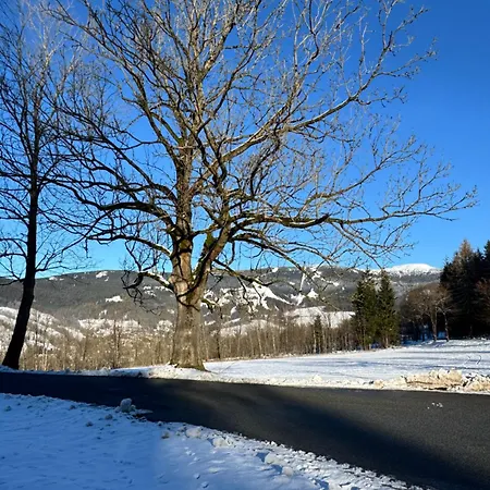 Διαμέρισμα Vista Rokytnice Rokytnice nad Jizerou