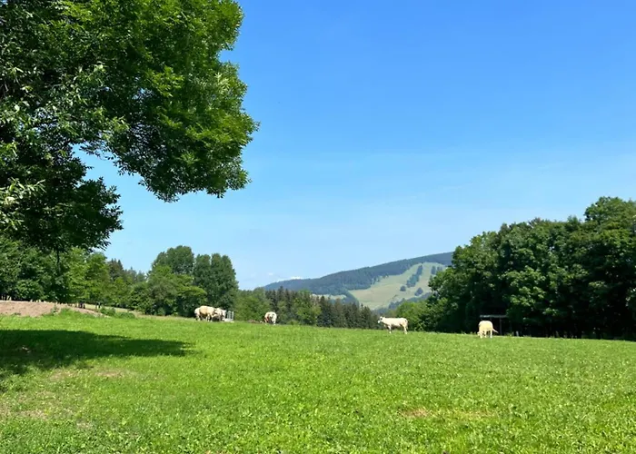 Vista Rokytnice Apartment