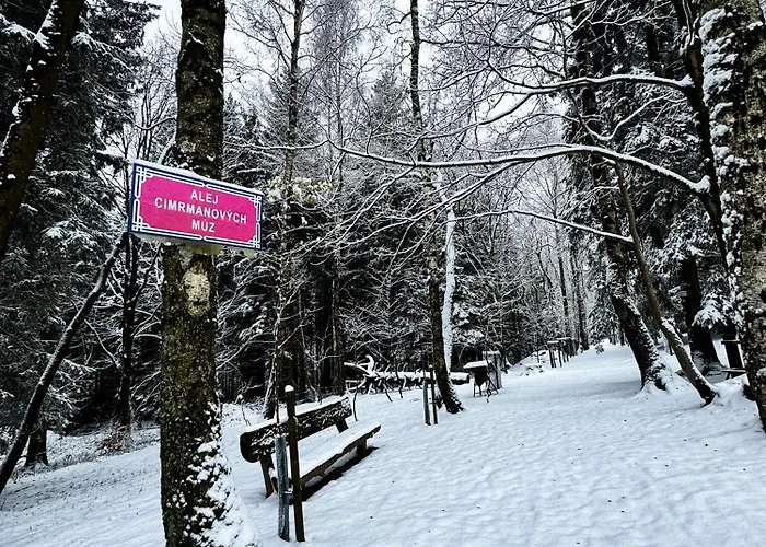 Vista Rokytnice Apartment Rokytnice nad Jizerou